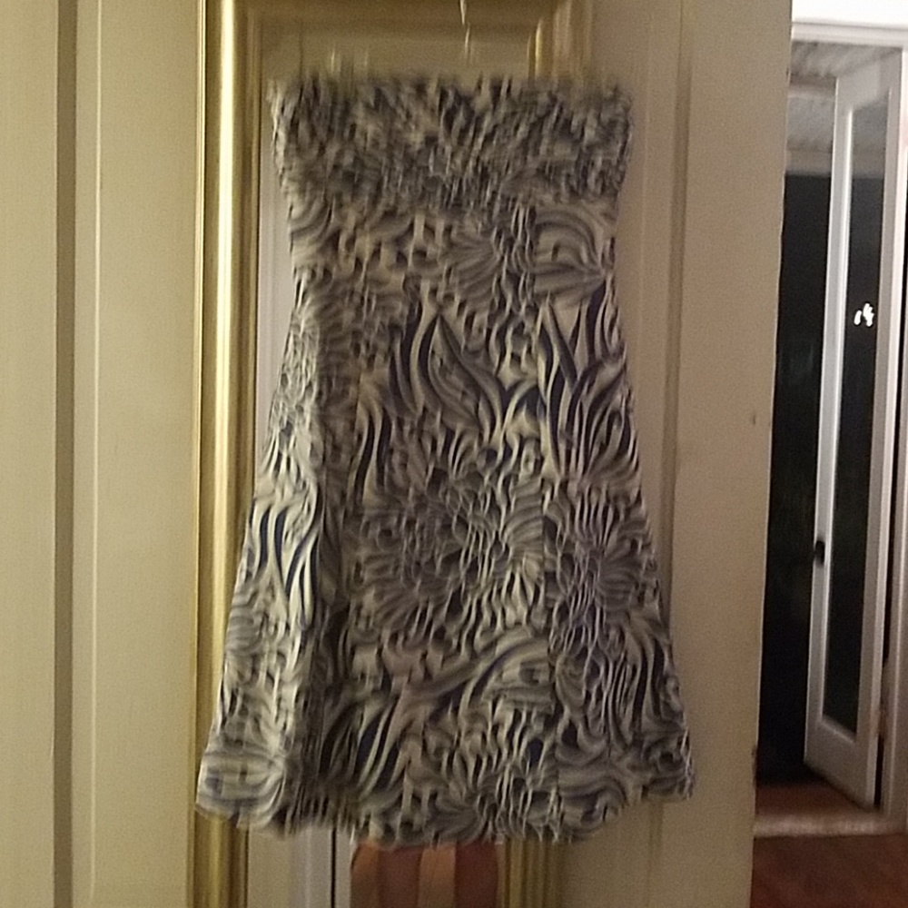Ann Taylor Dress